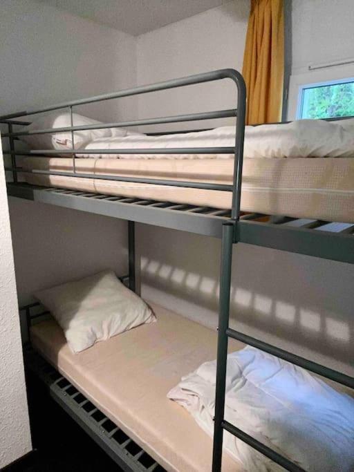 Appartement Rdc - Luz-St-Sauveur 吕兹-圣索沃尔 外观 照片